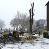 Baumfaellung ZK - Baumdienst & Baumpflege